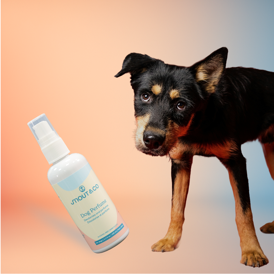 Dog Perfume
