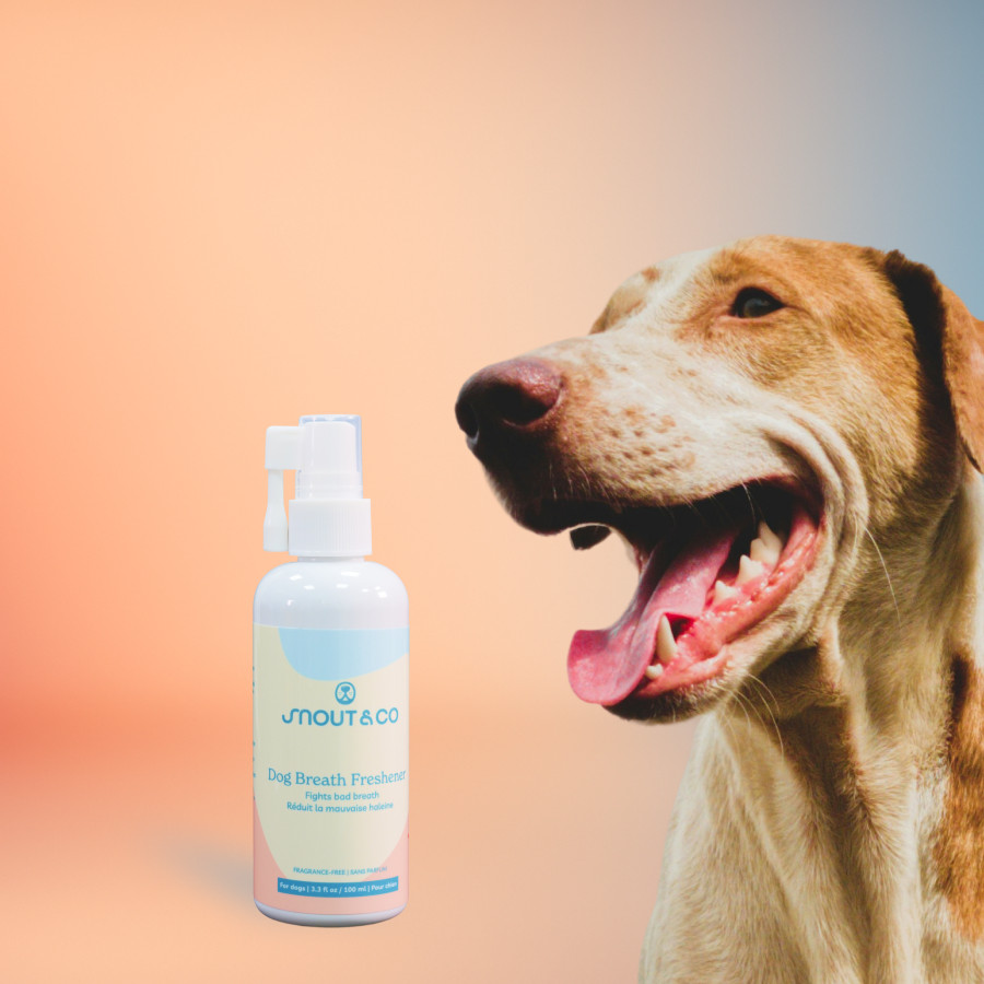 Dog Breath Freshener