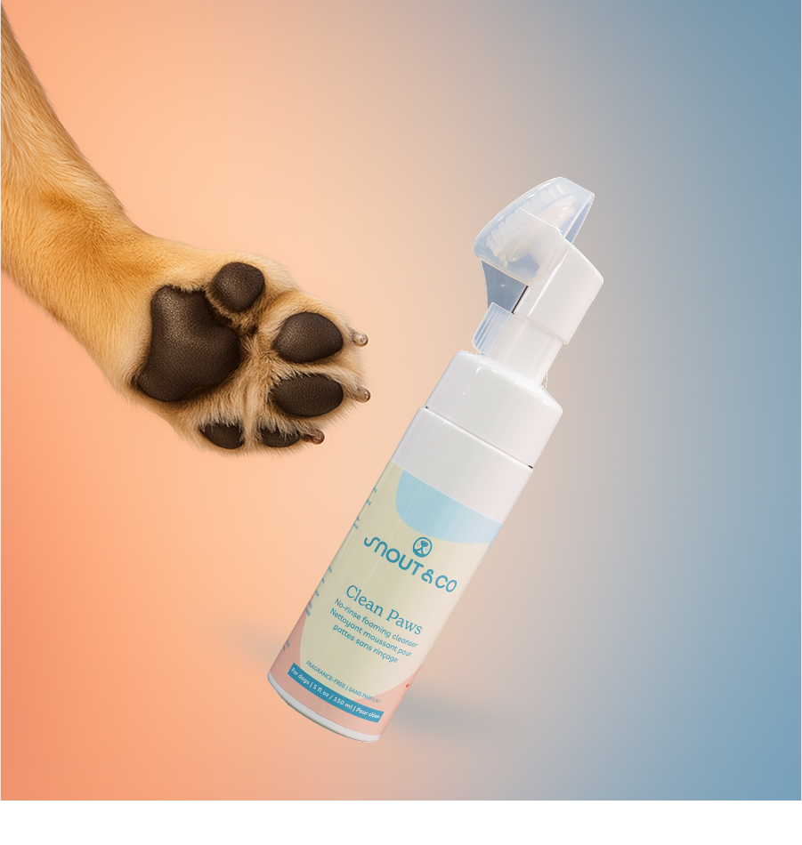 Clean Paws