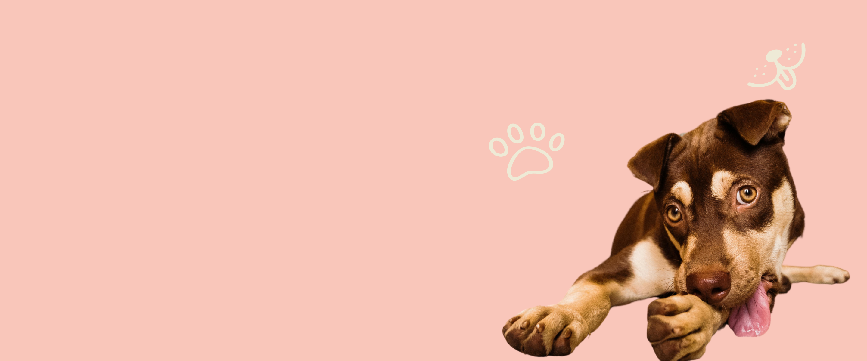 header3-2880x12002.png
