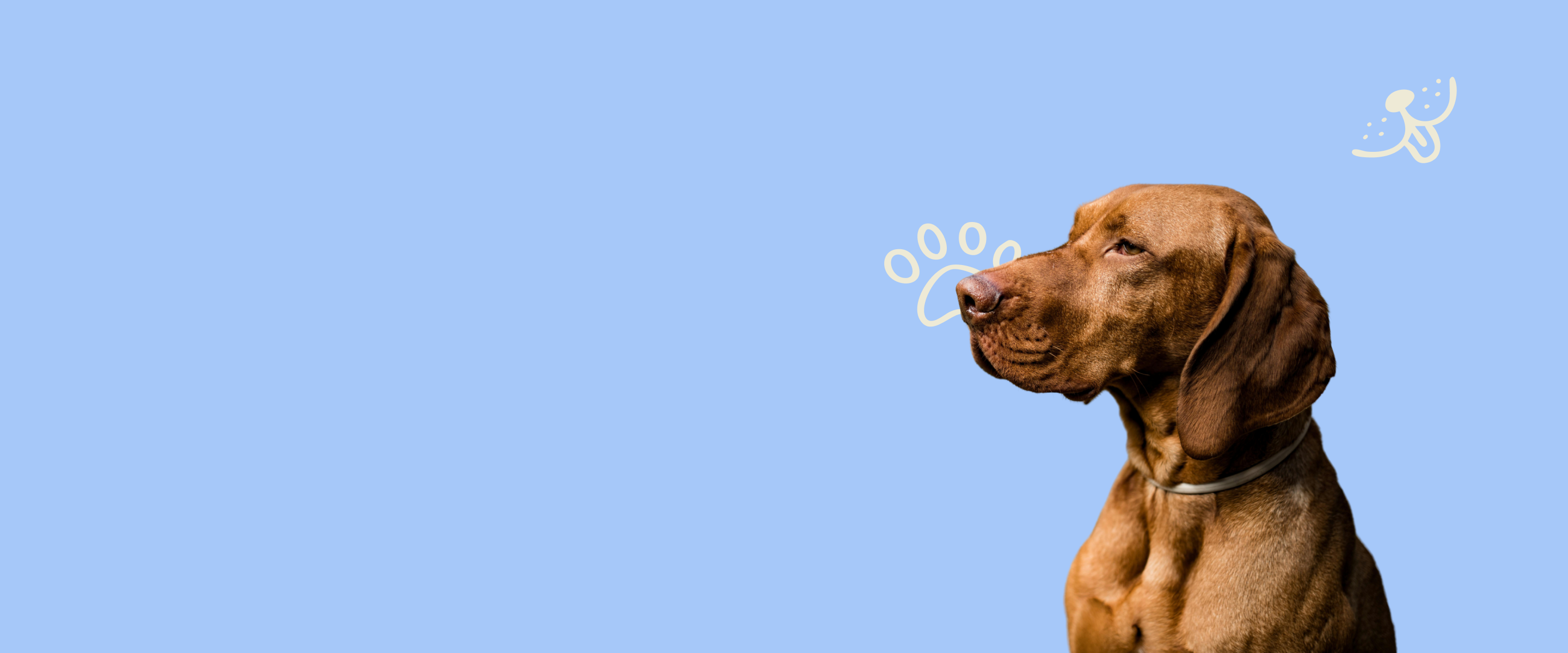 header3-2880x1200_6a6f337d-5a7b-4845-b597-68d9fc0813b2.png